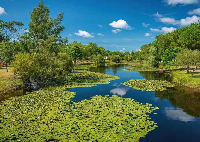 Resort Camping Hourtin *