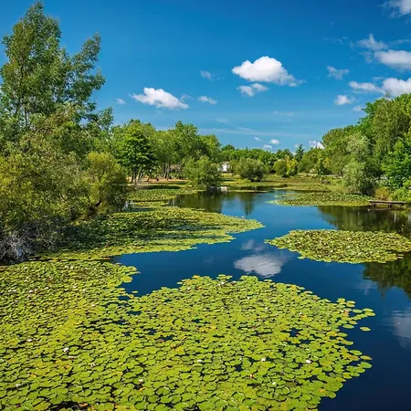 Курортный комплекс Camping Hourtin *